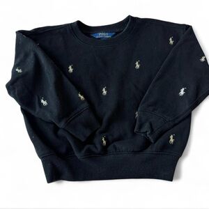 Polo Ralph Lauren All-Over Pony Toddler Girls Sweatshirt (4T)
